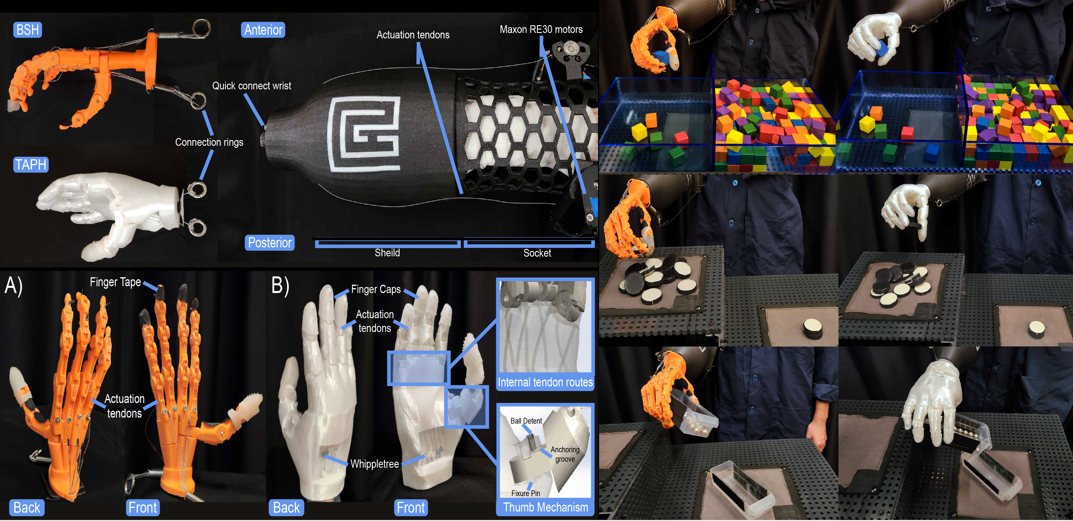 Human-inspired prosthetic hand study